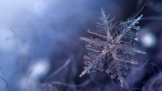 Snowflake Wallpaper Image