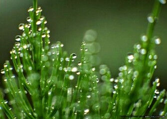 Desktop Background Slideshow Nature Best HD Wallpaper