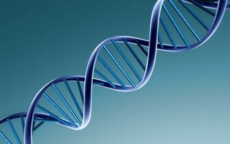 Dna Strand Wallpaper
