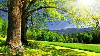 Sunlight Over The Hills High Definition Wallpaper HD