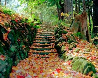 Beautiful Autumn Season Wallpaper All HD