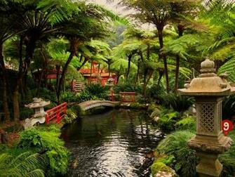 Oriental Computer Wallpaper Desktop Background Id