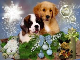 No L Golden Retriever Wallpaper