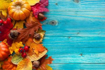 Pumpkin Fall Foliage Wallpaper On