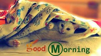 Good Morning