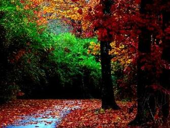 Screensaver Fall Wallpaper Best HD