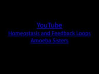 Homeostasis Ppt