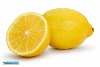 Free Download Hd Lemon Eats Lemon 1900x Wallpaper 1900x1200 For Your Desktop Mobile Tablet Explore 70 Lemon Wallpaper Lemon Wallpaper Kitchen The Gaming Lemon Wallpaper Lemon Pattern Wallpaper