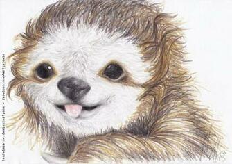 Sloth Sunglasses Money Wallpaper Cheeky By Teufelskatze