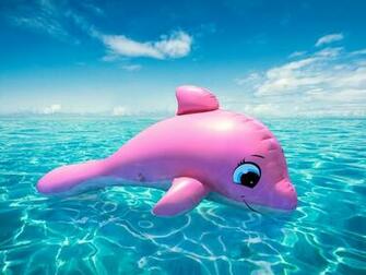 Pink Dolphins Wallpaper Dolphin
