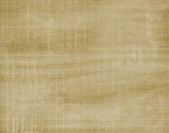 Beige Background Vector