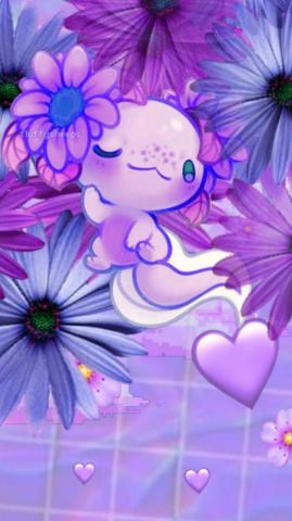 Axolotl Wallpaper Whatspaper