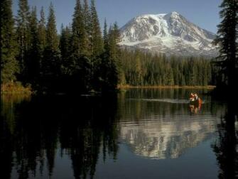 Washington State Background Wallpaper