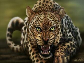 Best Leopord Wallpaper Background
