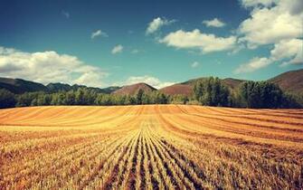 Typical Wallpaper Photo Manipulated Nature In Jpg
