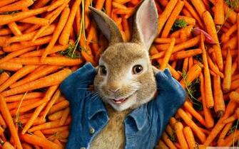 Peter Rabbit Movie 4k HD Desktop Wallpaper For Wide