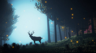 Mystical Forest Wallpaper