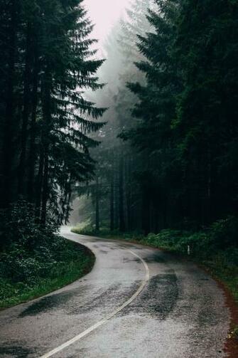 Rain Pictures HD Image Stock Photos