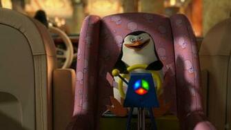 Madagascar Europe S Most Wanted Skipper The Penguin Desktop