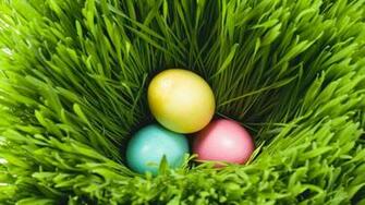 Easter Eggs Three Wallpaper High Quality