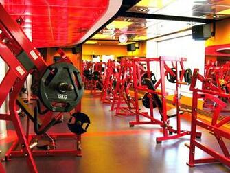 Golds Gym Wallpaper Album Gold S Turnaments