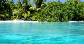Live Beach Screensavers Car Tuning