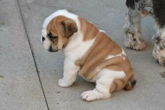 And They All Called Me Fat