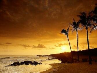 Rss Wallpaper Beach And Night HD