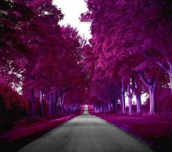 HD Wallpaper Appsapk