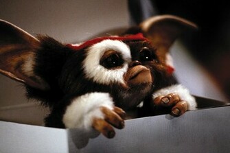 Gizmo Photo