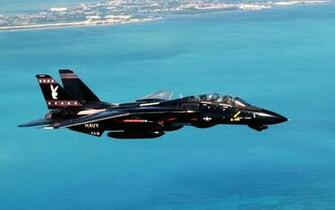 Tomcat HD Wallpaper Pictures