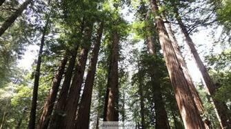 Nature Wallpaper Image