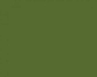 Color Your World Olive Green Jennifer Nichole Wells