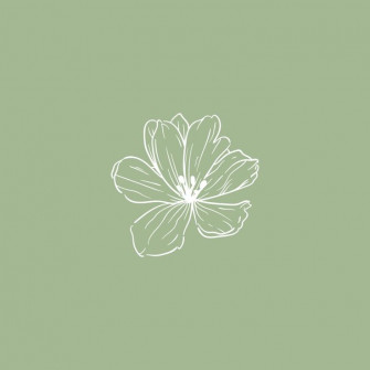 Sage Green Flower Icon Aesthetic