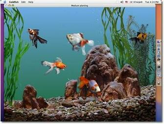 Cartoon Fish Tank Background