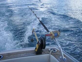 Deep Sea Fishing Graphics Code Comments Pictures