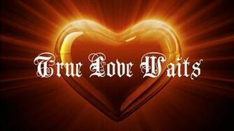 True Love Wallpaper Weneedfun