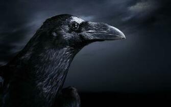 The Raven Underworldtales