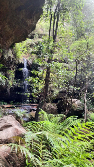 Blue Mountains National Park Wallpaper