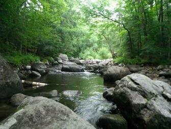 Fly Fishing New York Adirondack Brook Trout Arizona