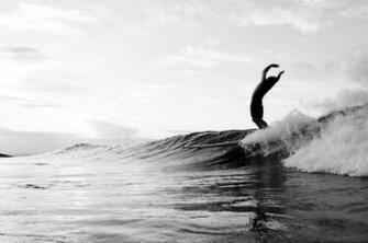 Longboard Surfing Wallpaper Photography