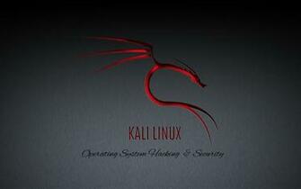 Kali linux bare metal что это