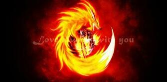 Related Pictures Fire Wolf Wallpaper Hawaii Dermatology