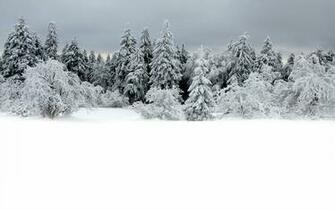 Nice Photo Of Winter Wallpaper Snow Nature