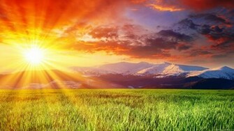 Meadow Sunrise HD Desktop Wallpaper