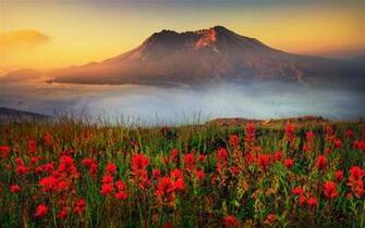 Best Mount St Helens Wallpaper Amount