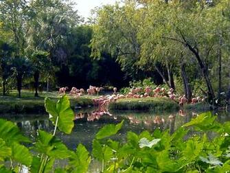 Louisiana Scenery Pictures