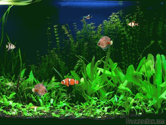 Aquarium Fish Screensaver Ware Screenshot Screensavers