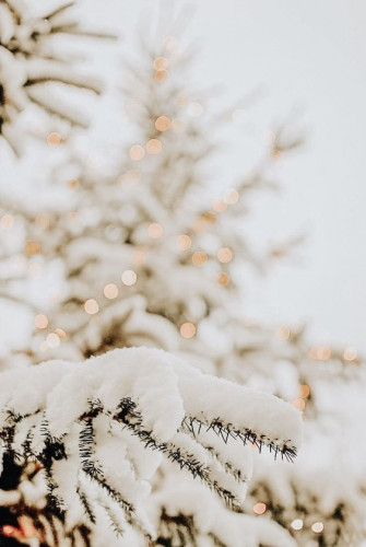 Gorgeous Winter Wallpaper S For iPhone