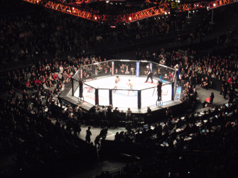 Ufc Arena Wallpaper